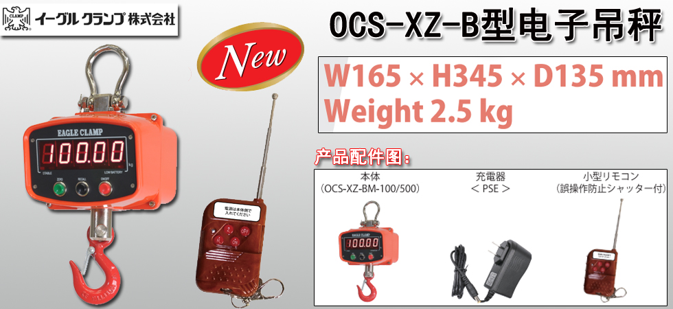 OCS XZ BM电子吊秤介绍