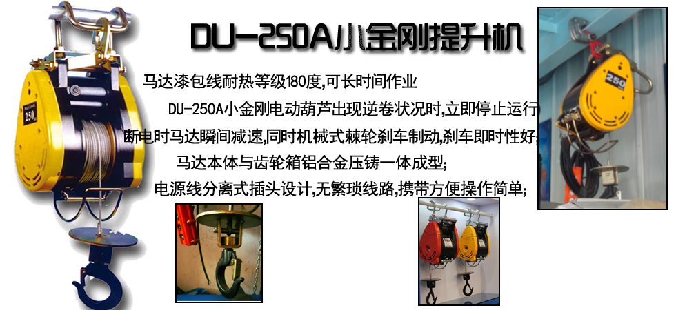 DU-250A小金刚电动葫芦图