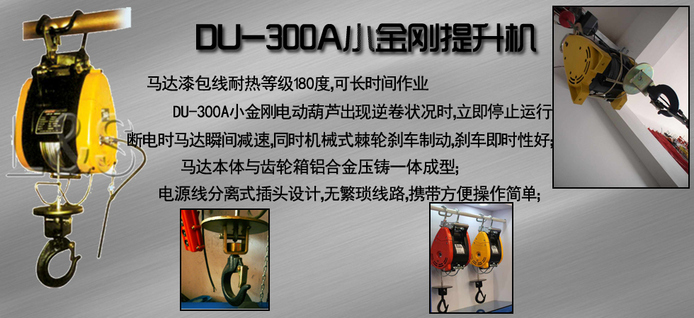 DU-300A小金刚电动提升机图