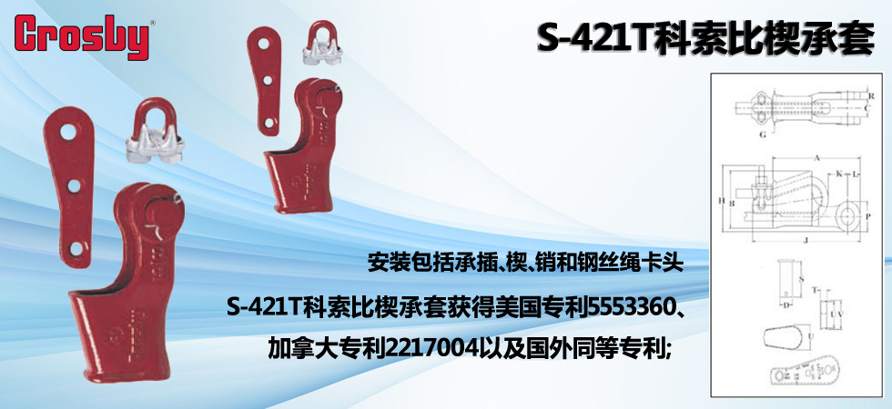 S-421T科索比楔承套