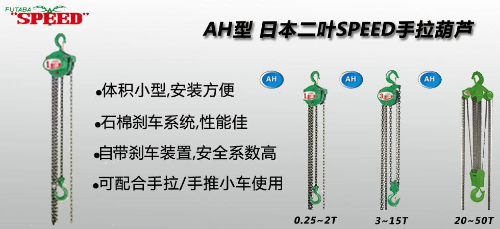 AH型二叶手拉葫芦图片