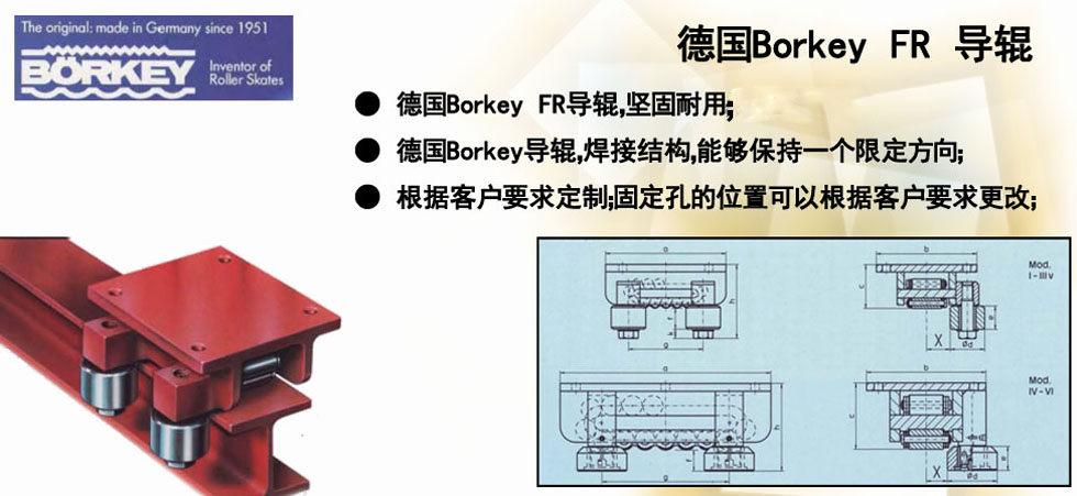 Borkey FR导辊