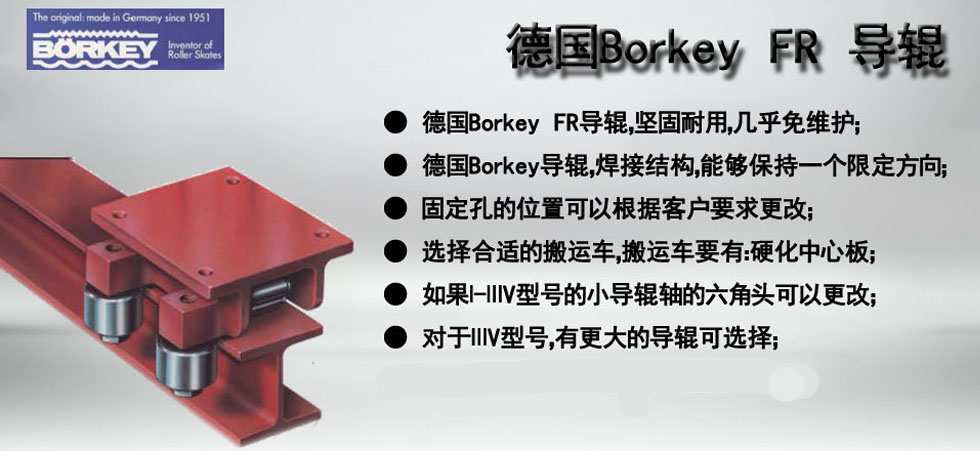 Borkey FR导辊